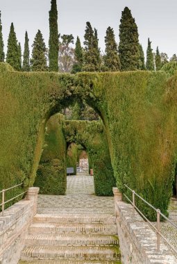 generalife bahçeleri, granada, İspanya