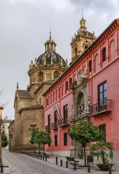 O Colégio Real de São Bartolomeu, Granada — Fotografia de Stock