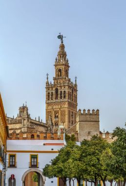 Sevilla Katedrali, İspanya