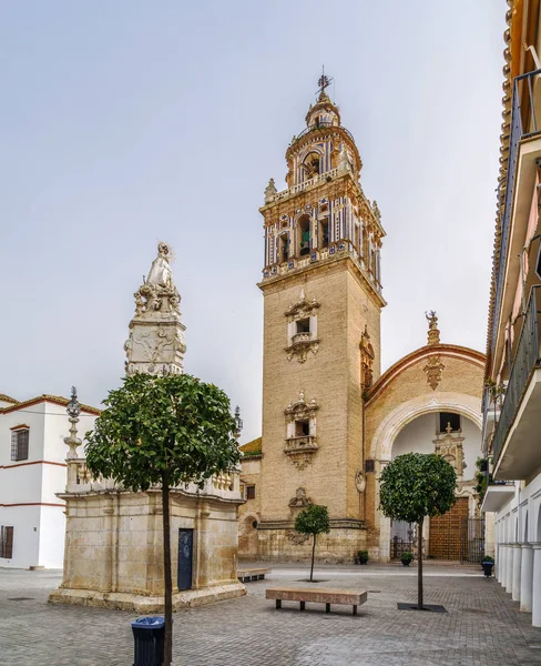Kostel Santa Maria, Ecija, Španělsko — Stock fotografie