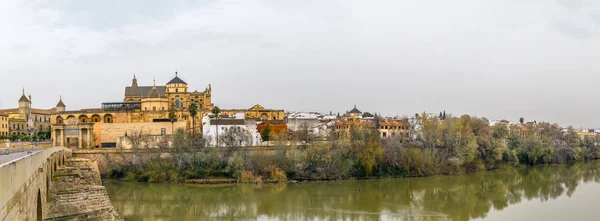Vista de Córdoba com Catedral de Mesquita, Espanha — Fotografia de Stock