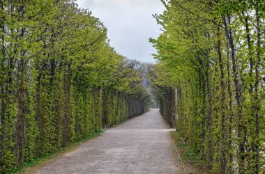 Sokakta park, Bayreuth, Almanya