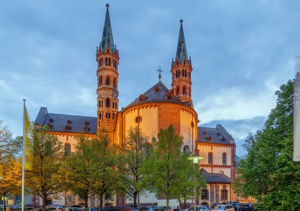 Wurzburg kathedraal, Duitsland — Stockfoto