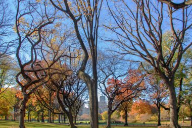 Central Park, New York City, ABD