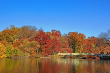 Central Park, New York City, ABD