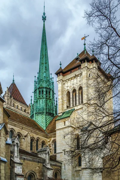 Санкт Pierre Swizerland собор, Женева, — стокове фото