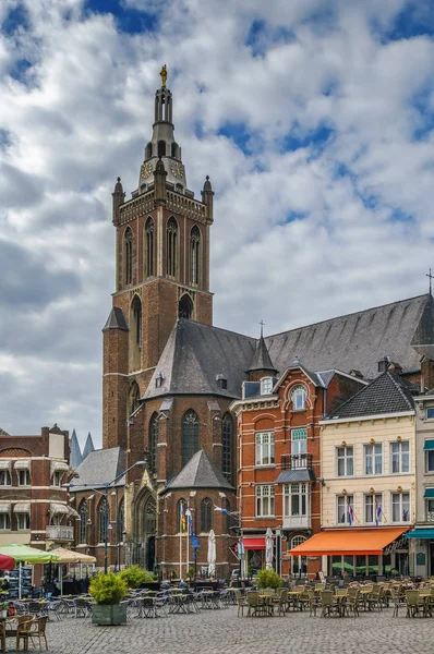 St. Christopher's Cathedral, Roermond, Netherlands — Stock Photo, Image