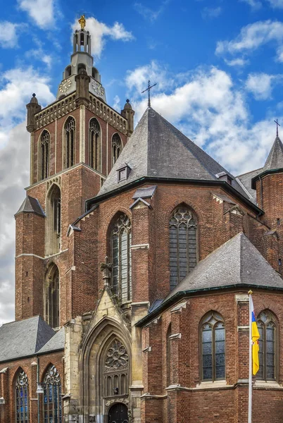 Catedral de San Cristóbal, Roermond, Países Bajos —  Fotos de Stock