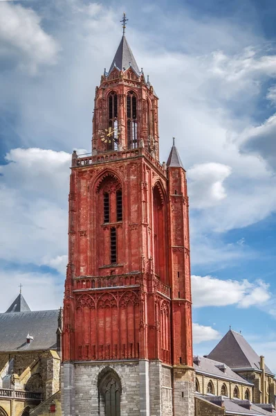 St. John kathedraal, Maastricht, Nederland — Stockfoto
