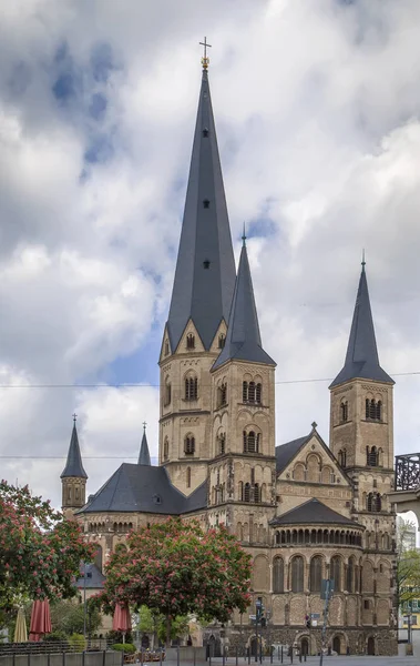 Bonn Minster, Alemania — Foto de Stock