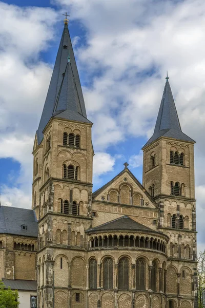 Bonn Minster, Duitsland — Stockfoto