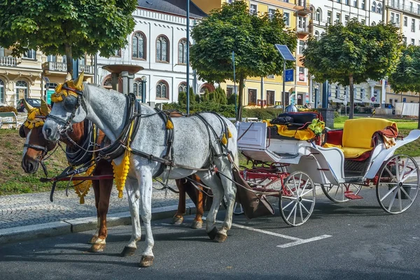 Kutsche in marianske lazne, Tschechische Republik — Stockfoto