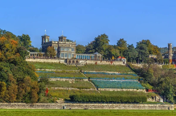 Lingner Palace, Drážďany, Německo — Stock fotografie