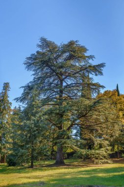 Park, Georgia manzara