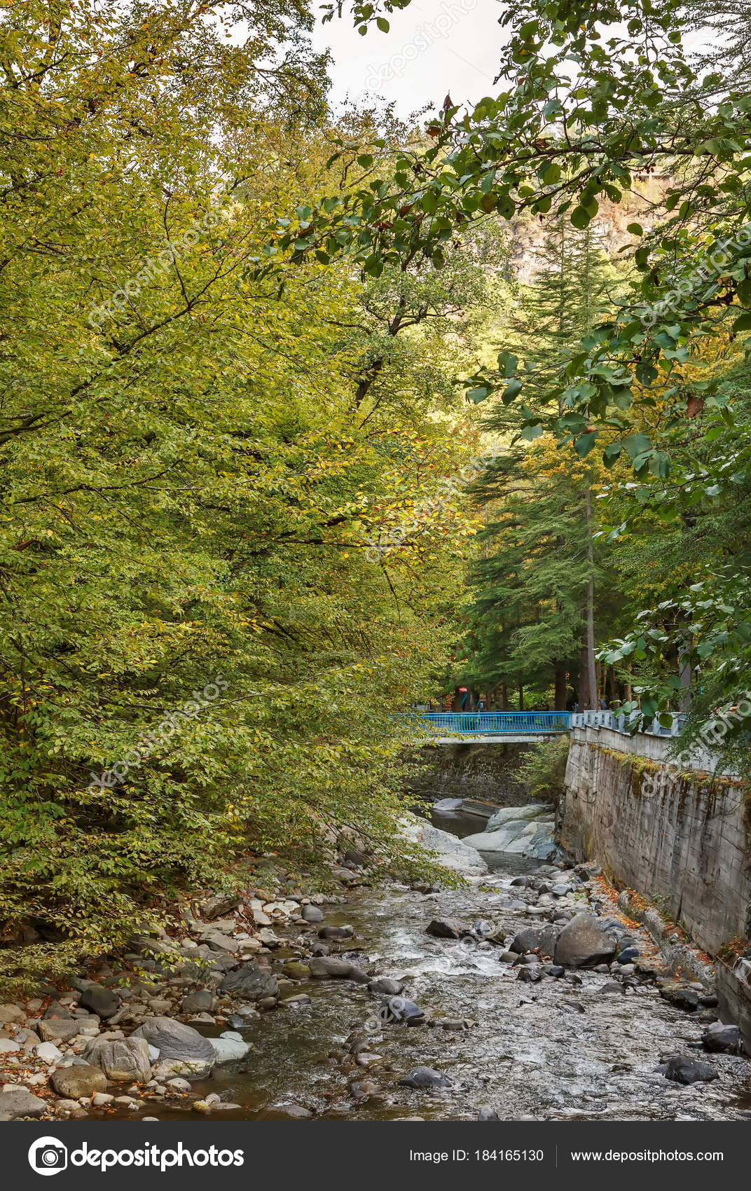 File:The Borjomula River in the Borjomi Park 2.JPG - Wikimedia Commons