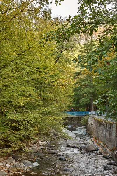 Borjomula river i Borjomi, Georgien — Stockfoto