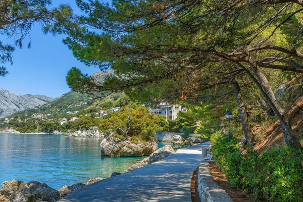 Vägen längs havet, Brela, Kroatien — Stockfoto