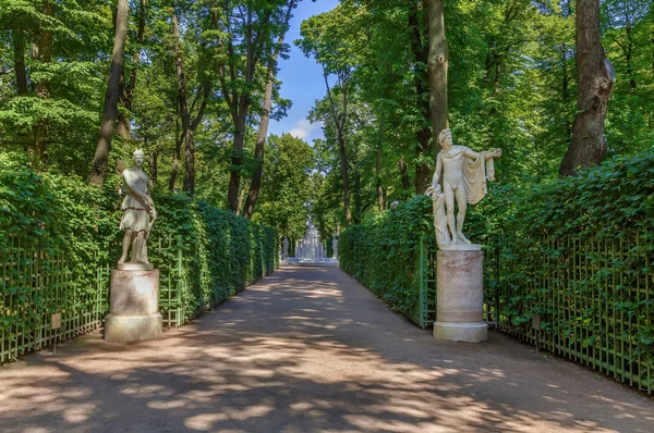 Jardín de verano, San Petersburgo, Rusia — Foto de Stock