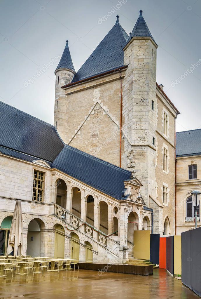 Palacio de los Duques de Dijon, Francia 2025