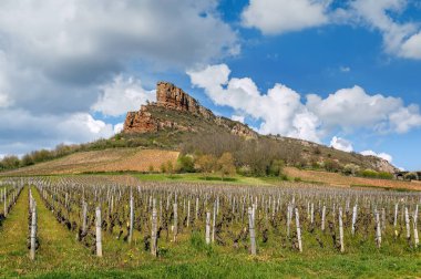 Solutre Kayası, Fransa