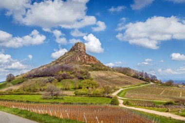 Solutre Kayası, Fransa