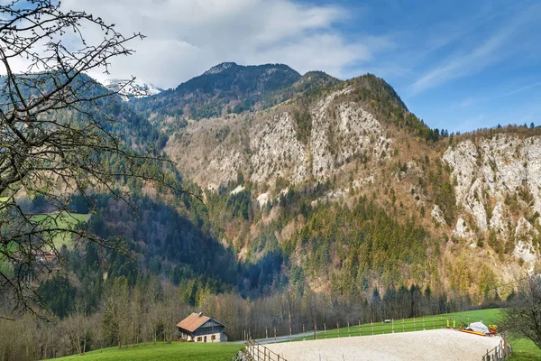 Landscape near Petit-Bornand, France — Stock Photo, Image