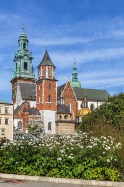 Wawel Tepesi 'ndeki Aziz Stanislaus ve Wenceslaus Kraliyet Katedrali. Polonya, Krakow' daki Wawel Katedrali olarak da bilinir.