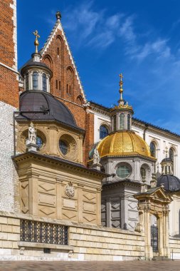 Krakow, Polonya 'daki Wawel Katedrali olarak da bilinen Wawel Hill' deki Aziz Stanislaus ve Wenceslaus Kraliyet Katedrali. Sigismund Şapeli ve Vasa Hanedanı Şapeli 