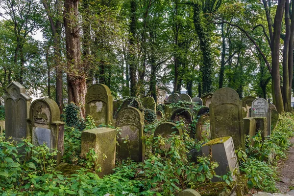 Nový Židovský Hřbitov Historické Židovské Čtvrti Kazimierz Krakově Polsko — Stock fotografie