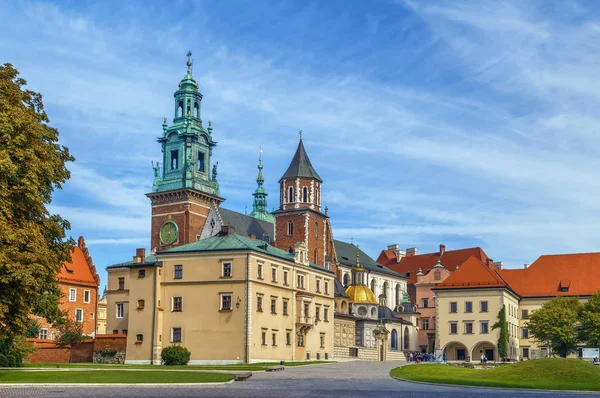 Cattedrale Reale Basilica Dei Santi Stanislao Venceslao Sulla Collina Wawel — Foto Stock