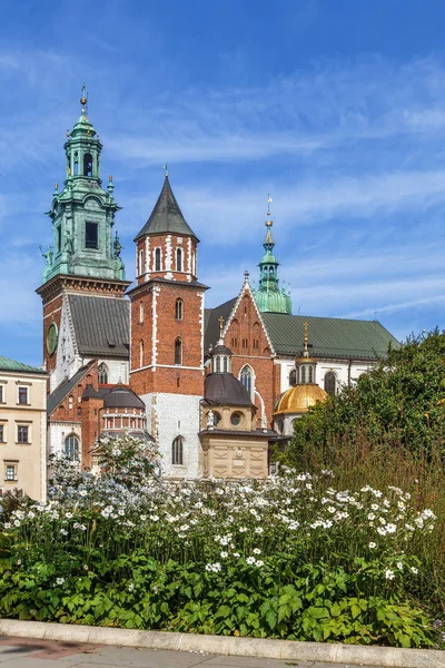 Royal Archcathedral Basilica Saints Stanislaus Och Wenceslaus Wawel Hill Även — Stockfoto