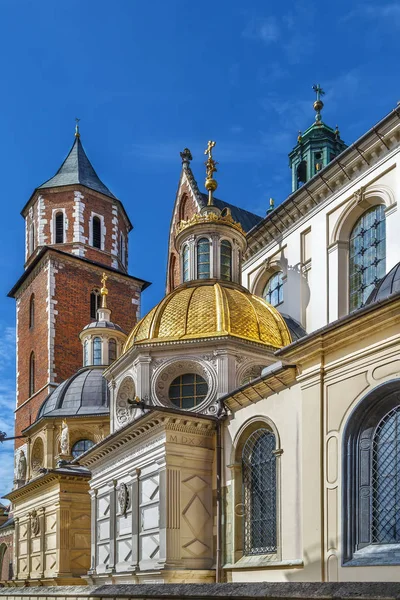 Krakow Polonya Daki Wawel Katedrali Olarak Bilinen Wawel Hill Deki — Stok fotoğraf