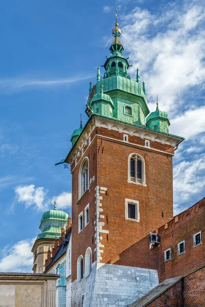 Sigismund Tower Wawel Cathedral Krakow Polen — Stockfoto