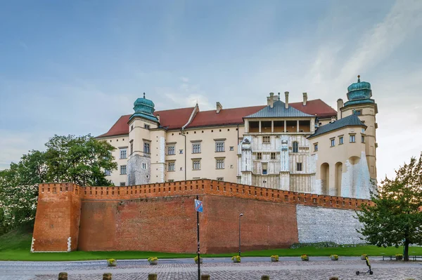 Torre Danese Wawel Nel Castello Wawel Cracovia Polonia — Foto Stock