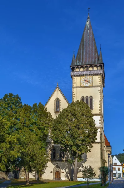 Slovakya Nın Bardejov Kentindeki Aziz Giles Bazilikası Belediye Binasının Kuzey — Stok fotoğraf