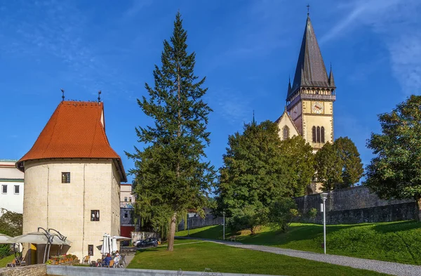 Parco Basilica San Giles Bardejov Slovacchia — Foto Stock