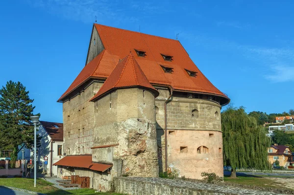 Grande Bastione Stato Elemento Più Efficace Progressista Della Difesa Bordejov — Foto Stock