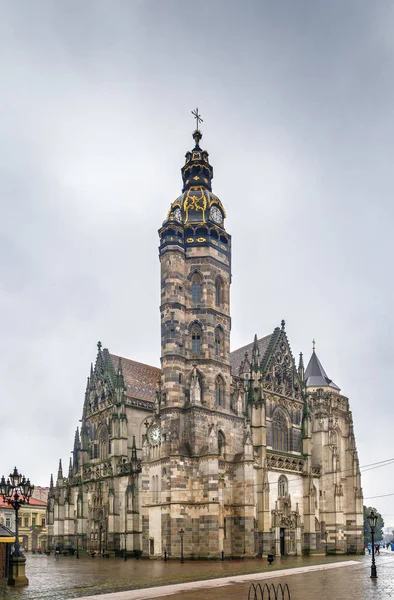 Catedral Santa Isabel Una Catedral Gótica Kosice Eslovaquia —  Fotos de Stock