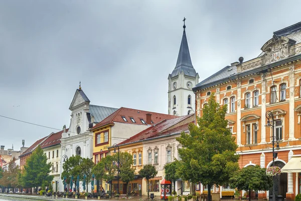 Gata Med Historiska Hus Kosice Gamla Stan Slovakien — Stockfoto