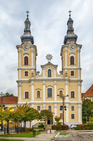Kerk Van Hemelvaart Minderheidskerk Barokke Stijl Miskolc Hongarije — Stockfoto