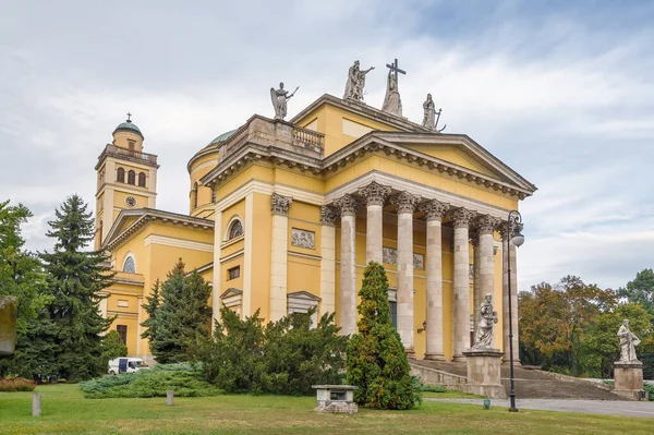 Cattedrale Basilica San Giovanni Apostolo Chiamata Anche Cattedrale Eger Edificio — Foto Stock