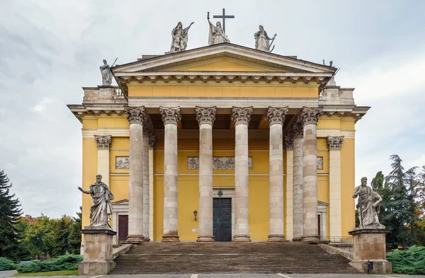 Cathedral Basilica John Apostle Also Called Eger Cathedral Religious Building — Stock Photo, Image