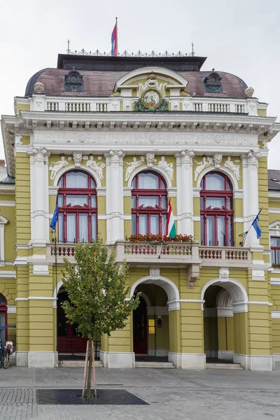 Rathaus Auf Dem Dobo Istvan Platz Stadtzentrum Von Eger Ungarn — Stockfoto