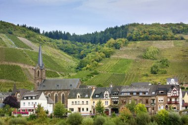 Almanya 'nın Moselle nehrinin kıyısındaki köy.