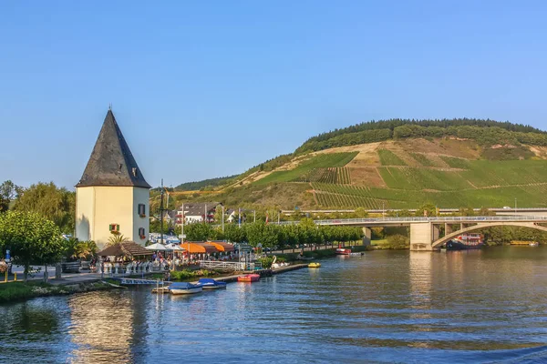 Vinice Březích Řeky Moselle Podzim Německo — Stock fotografie