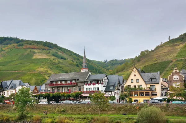 Vesnice Břehu Řeky Moselle Německo — Stock fotografie