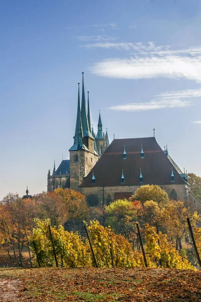 ドイツ ブドウ畑からのエアフルト大聖堂の眺め — ストック写真