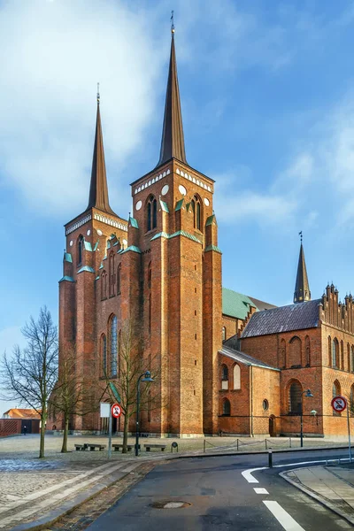 罗斯基勒主教座堂是丹麦路德教会的主教座堂 — 图库照片