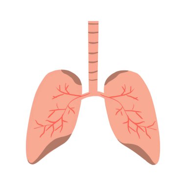 Ciğerler. Simgeler, düz stil. İç organ tasarım elementi, logo. Anatomi, tıp konsepti. Sağlık hizmetleri. Beyaz bir arka planda izole edilmiş. Vektör illüstrasyonu