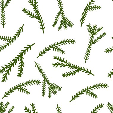 Beyaz arka planda pürüzsüz desenli Spruce dalı. Yeni yıl arifesi. Noel zamanı. Bir çift dal. Noel ağacı. Çam ağacı. Vektör.